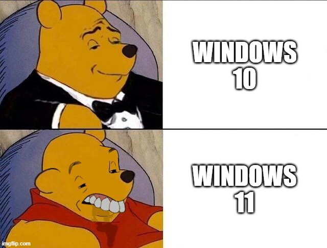 Tuxedo Winnie the Pooh grossed reverse | WINDOWS 10; WINDOWS 11 | image tagged in tuxedo winnie the pooh grossed reverse | made w/ Imgflip meme maker