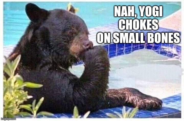 Thinking bear | NAH, YOGI CHOKES ON SMALL BONES | image tagged in thinking bear | made w/ Imgflip meme maker