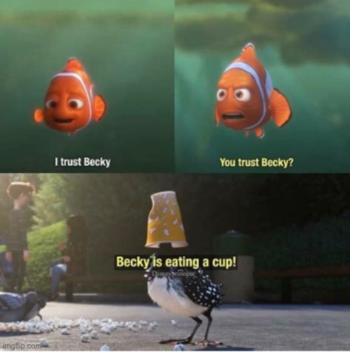 Do you trust Becky? XD | image tagged in finding dory,becky,oo roo | made w/ Imgflip meme maker