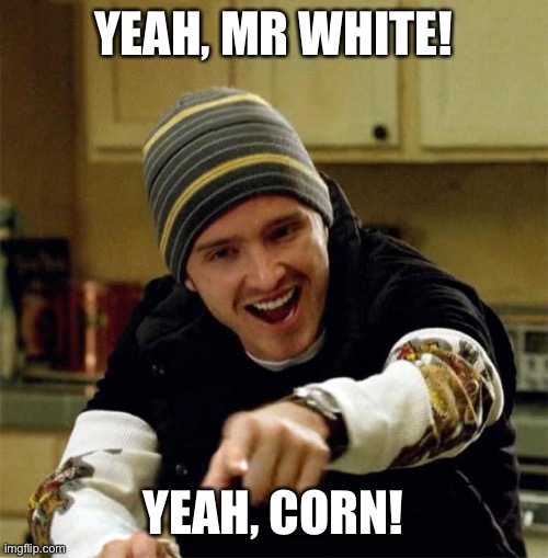 Jesse Pinkman | YEAH, MR WHITE! YEAH, CORN! | image tagged in jesse pinkman | made w/ Imgflip meme maker