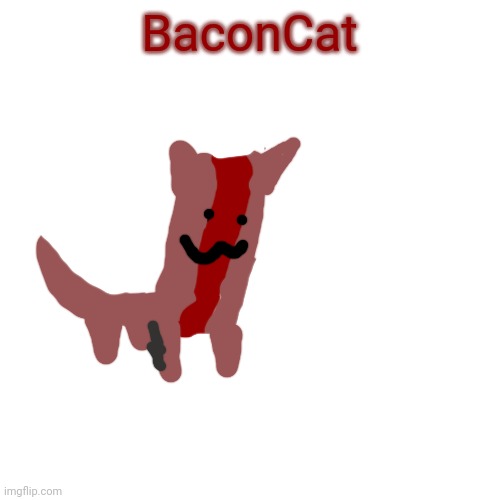 Eggyheads pet | BaconCat | image tagged in blank transparent square | made w/ Imgflip meme maker