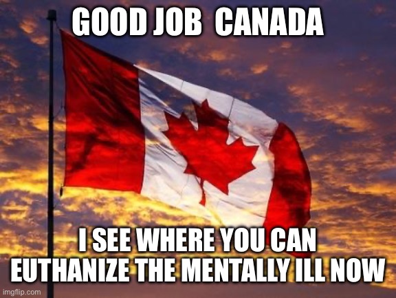 Did you get the idea from China? | GOOD JOB  CANADA I SEE WHERE YOU CAN EUTHANIZE THE MENTALLY ILL NOW | image tagged in canada | made w/ Imgflip meme maker