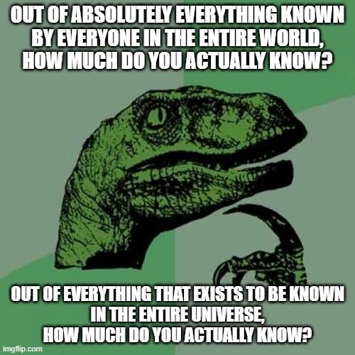 Do you even know enough to know how little you know? | OUT OF ABSOLUTELY EVERYTHING KNOWN
BY EVERYONE IN THE ENTIRE WORLD,
HOW MUCH DO YOU ACTUALLY KNOW? OUT OF EVERYTHING THAT EXISTS TO BE KNOWN
IN THE ENTIRE UNIVERSE,
HOW MUCH DO YOU ACTUALLY KNOW? | image tagged in memes,philosoraptor,knowledge,ignorance,world,universe | made w/ Imgflip meme maker