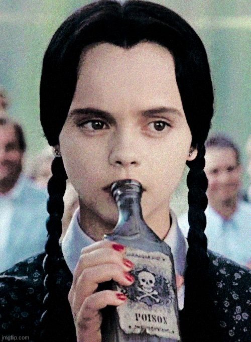 Wednesday addams | image tagged in wednesday addams | made w/ Imgflip meme maker