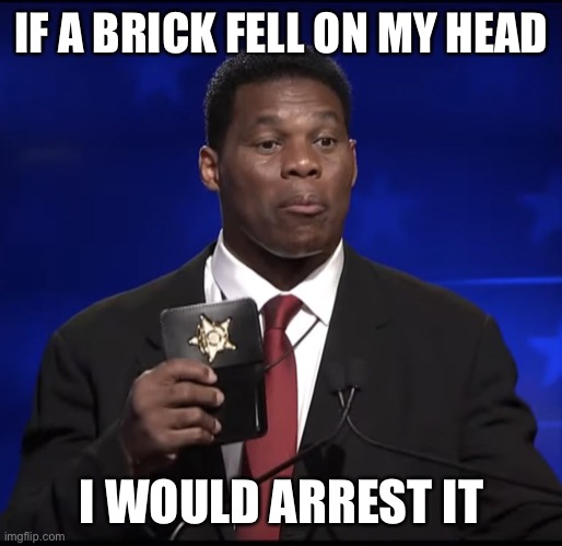 Herschel Walker Badge | IF A BRICK FELL ON MY HEAD I WOULD ARREST IT | image tagged in herschel walker badge | made w/ Imgflip meme maker