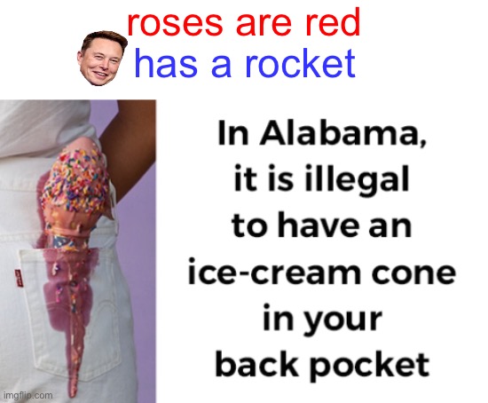 the weirdest law on earth (my first meme!) | roses are red; has a rocket | image tagged in elon musk,roses are red | made w/ Imgflip meme maker