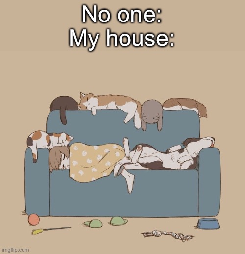 Avogado6 | No one:
My house: | image tagged in avogado6 | made w/ Imgflip meme maker