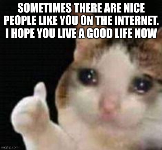 Approved crying cat | SOMETIMES THERE ARE NICE PEOPLE LIKE YOU ON THE INTERNET. I HOPE YOU LIVE A GOOD LIFE NOW | image tagged in approved crying cat | made w/ Imgflip meme maker