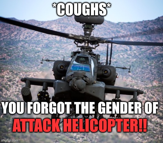 attack helicopter apache | *COUGHS* YOU FORGOT THE GENDER OF ATTACK HELICOPTER!! | image tagged in attack helicopter apache | made w/ Imgflip meme maker