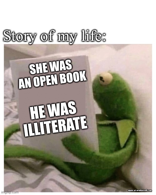 Story of my life | Story of my life:; SHE WAS AN OPEN BOOK; HE WAS ILLITERATE | image tagged in kermit reading book,open,book,romance | made w/ Imgflip meme maker