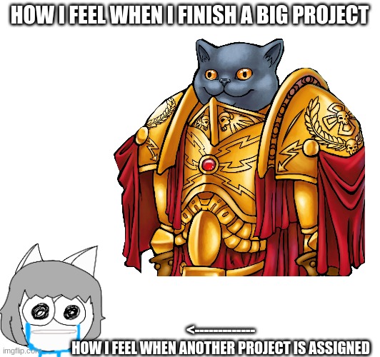 For real though... | HOW I FEEL WHEN I FINISH A BIG PROJECT; <-------------
HOW I FEEL WHEN ANOTHER PROJECT IS ASSIGNED | image tagged in cat,memes | made w/ Imgflip meme maker