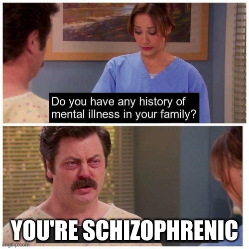 4yqu | YOU'RE SCHIZOPHRENIC | image tagged in do you have any history of mental ilness in your family | made w/ Imgflip meme maker