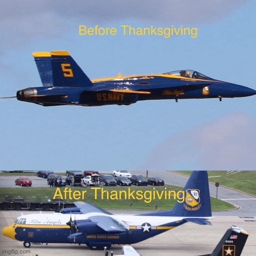After Thanksgiving | image tagged in thanksgiving,dinner,turkey,fat | made w/ Imgflip meme maker