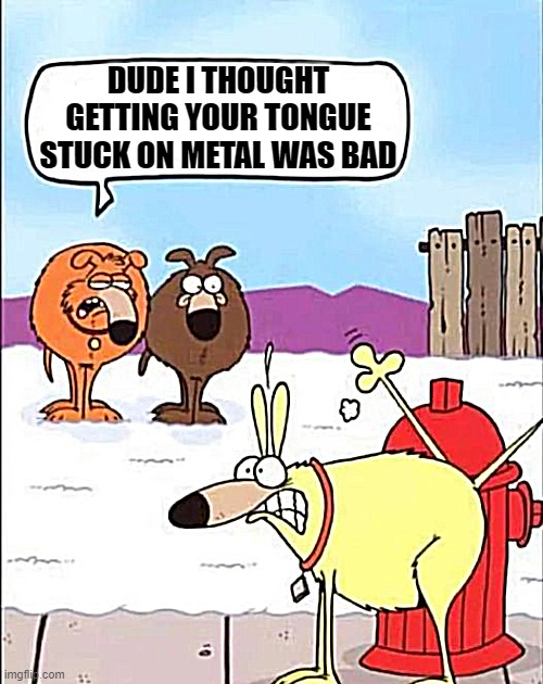 cold sucks | DUDE I THOUGHT GETTING YOUR TONGUE STUCK ON METAL WAS BAD | image tagged in dogo,fire hydrant | made w/ Imgflip meme maker