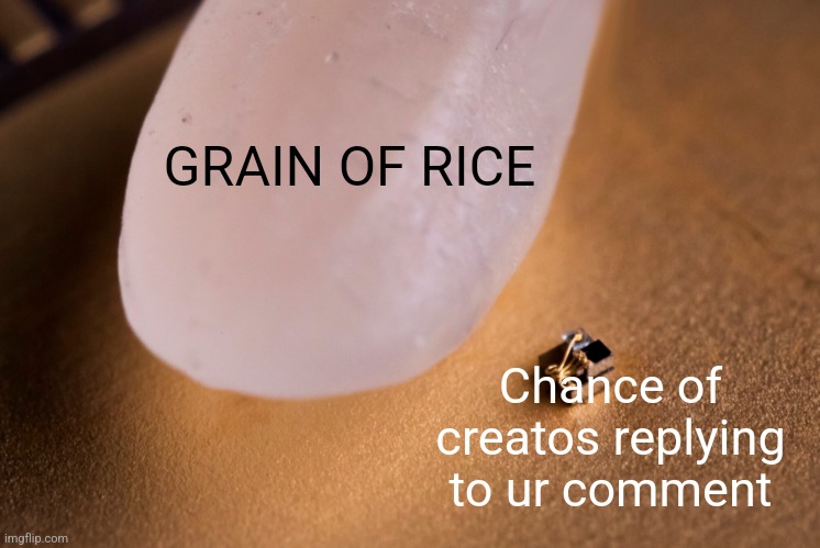 Grain Of Rice | GRAIN OF RICE; Chance of creatos replying to ur comment | image tagged in grain of rice | made w/ Imgflip meme maker