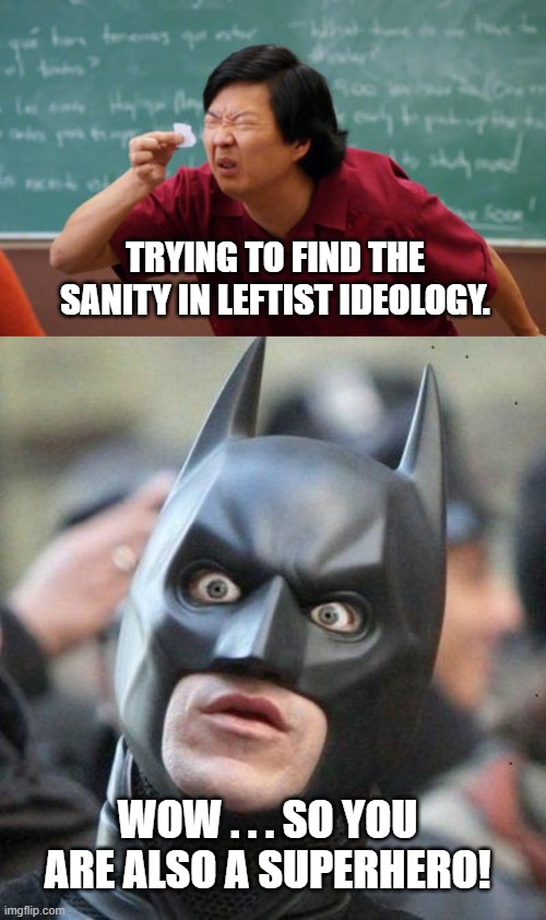 It's a brave new world. | TRYING TO FIND THE SANITY IN LEFTIST IDEOLOGY. WOW . . . SO YOU ARE ALSO A SUPERHERO! | image tagged in tiny piece of paper | made w/ Imgflip meme maker