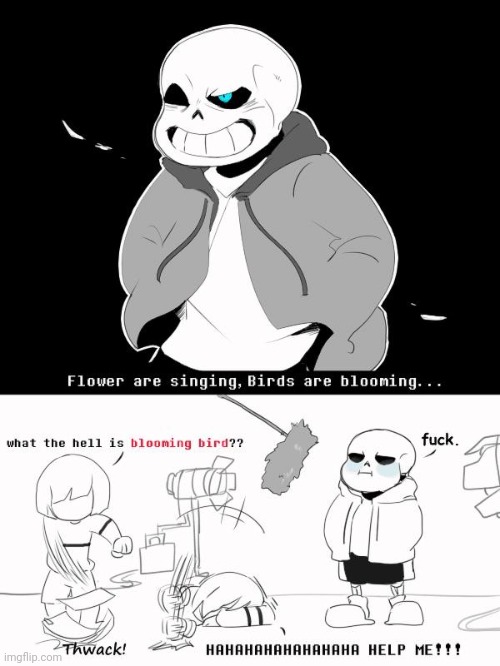 Wtf is a "singing bird"!? | image tagged in yes,funny,memes,sans undertale,singing,birb | made w/ Imgflip meme maker