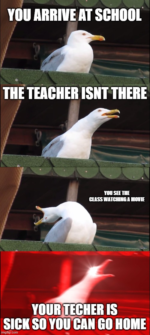 Inhaling Seagull Meme | YOU ARRIVE AT SCHOOL; THE TEACHER ISNT THERE; YOU SEE THE CLASS WATCHING A MOVIE; YOUR TECHER IS SICK SO YOU CAN GO HOME | image tagged in memes,inhaling seagull | made w/ Imgflip meme maker