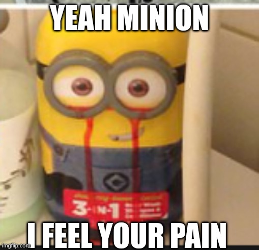 YEAH MINION; I FEEL YOUR PAIN | image tagged in minions,minion | made w/ Imgflip meme maker