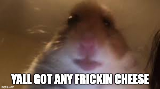 ds | YALL GOT ANY FRICKIN CHEESE | image tagged in facetime hamster | made w/ Imgflip meme maker