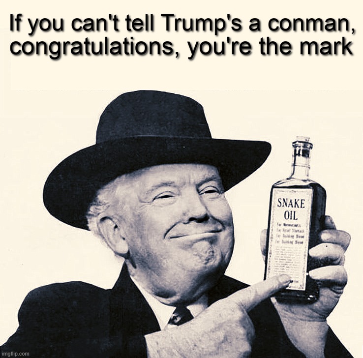 Don 'the con man' Trump | image tagged in con man,trump lies,trump supporters,believe,special kind of stupid,mark | made w/ Imgflip meme maker