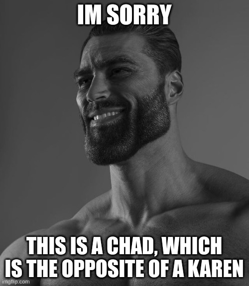 Giga Chad | IM SORRY THIS IS A CHAD, WHICH IS THE OPPOSITE OF A KAREN | image tagged in giga chad | made w/ Imgflip meme maker