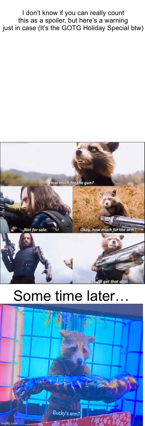 That Madman Actually Got It… | I don’t know if you can really count this as a spoiler, but here’s a warning just in case (It’s the GOTG Holiday Special btw); Some time later… | image tagged in bucky and rocket | made w/ Imgflip meme maker