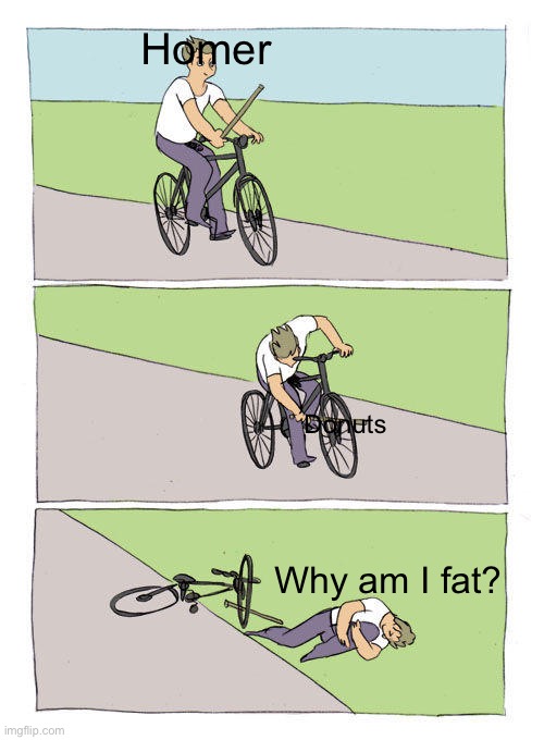 Bike Fall | Homer; Donuts; Why am I fat? | image tagged in memes,bike fall | made w/ Imgflip meme maker