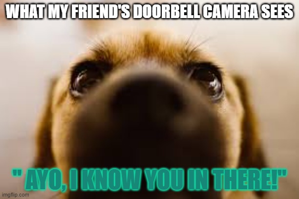 Hang out at bestie's house | WHAT MY FRIEND'S DOORBELL CAMERA SEES; " AYO, I KNOW YOU IN THERE!" | image tagged in google images | made w/ Imgflip meme maker