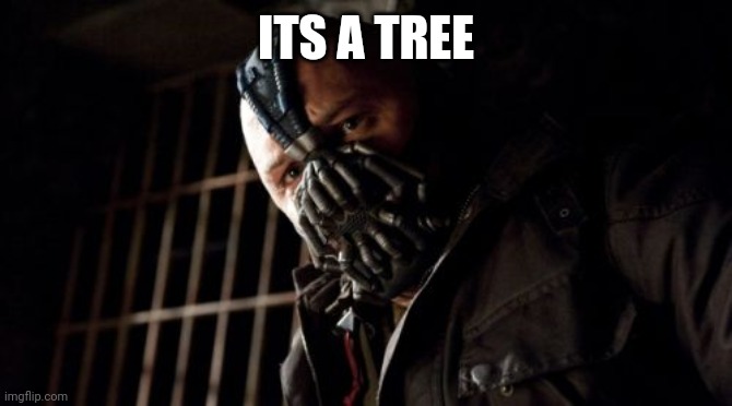 Permission Bane Meme | ITS A TREE | image tagged in memes,permission bane | made w/ Imgflip meme maker