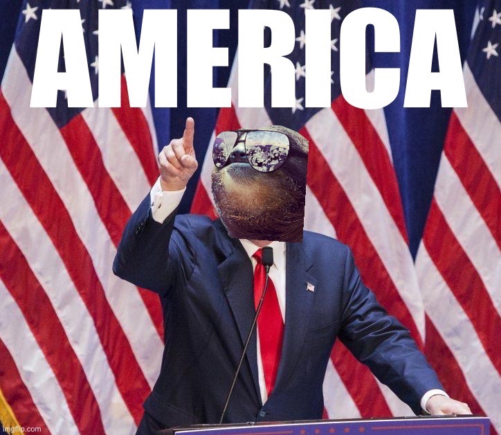 Sloth Donald Trump America | image tagged in sloth donald trump america | made w/ Imgflip meme maker