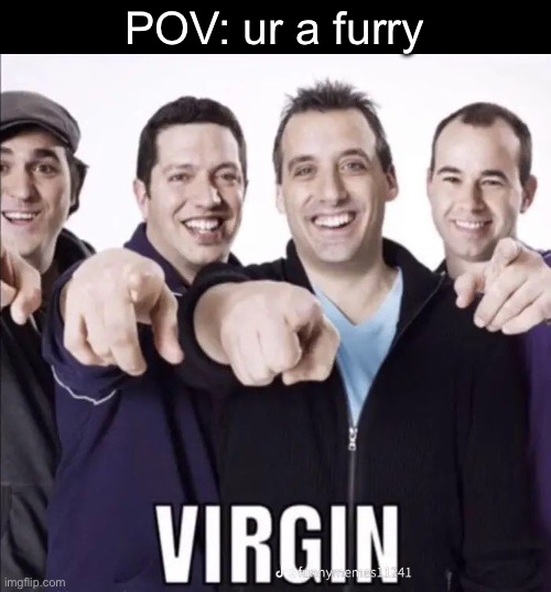 Virgin | POV: ur a furry | image tagged in virgin | made w/ Imgflip meme maker