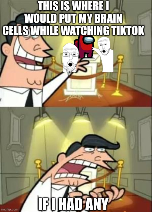 This Is Where I'd Put My Trophy If I Had One Meme | THIS IS WHERE I WOULD PUT MY BRAIN CELLS WHILE WATCHING TIKTOK; IF I HAD ANY | image tagged in memes,this is where i'd put my trophy if i had one | made w/ Imgflip meme maker