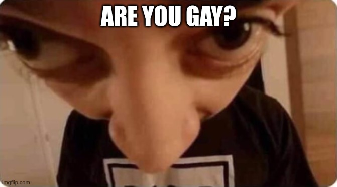 man in cam | ARE YOU GAY? | image tagged in man in cam | made w/ Imgflip meme maker