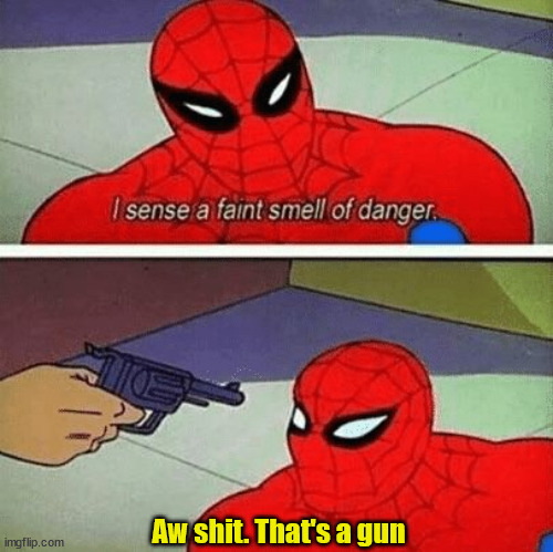 i sense a faint smell of danger | Aw shit. That's a gun | image tagged in i sense a faint smell of danger | made w/ Imgflip meme maker