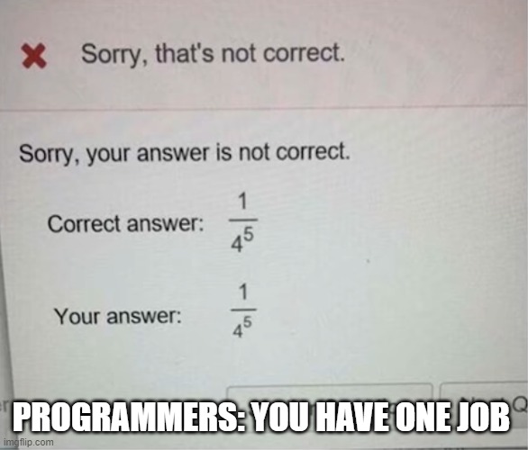 PROGRAMMERS: YOU HAVE ONE JOB | image tagged in you had one job | made w/ Imgflip meme maker