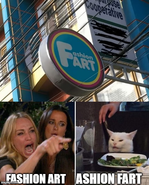 angry lady cat |  ASHION FART; FASHION ART | image tagged in angry lady cat | made w/ Imgflip meme maker