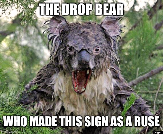 Wet drop bear | THE DROP BEAR WHO MADE THIS SIGN AS A RUSE | image tagged in wet drop bear | made w/ Imgflip meme maker