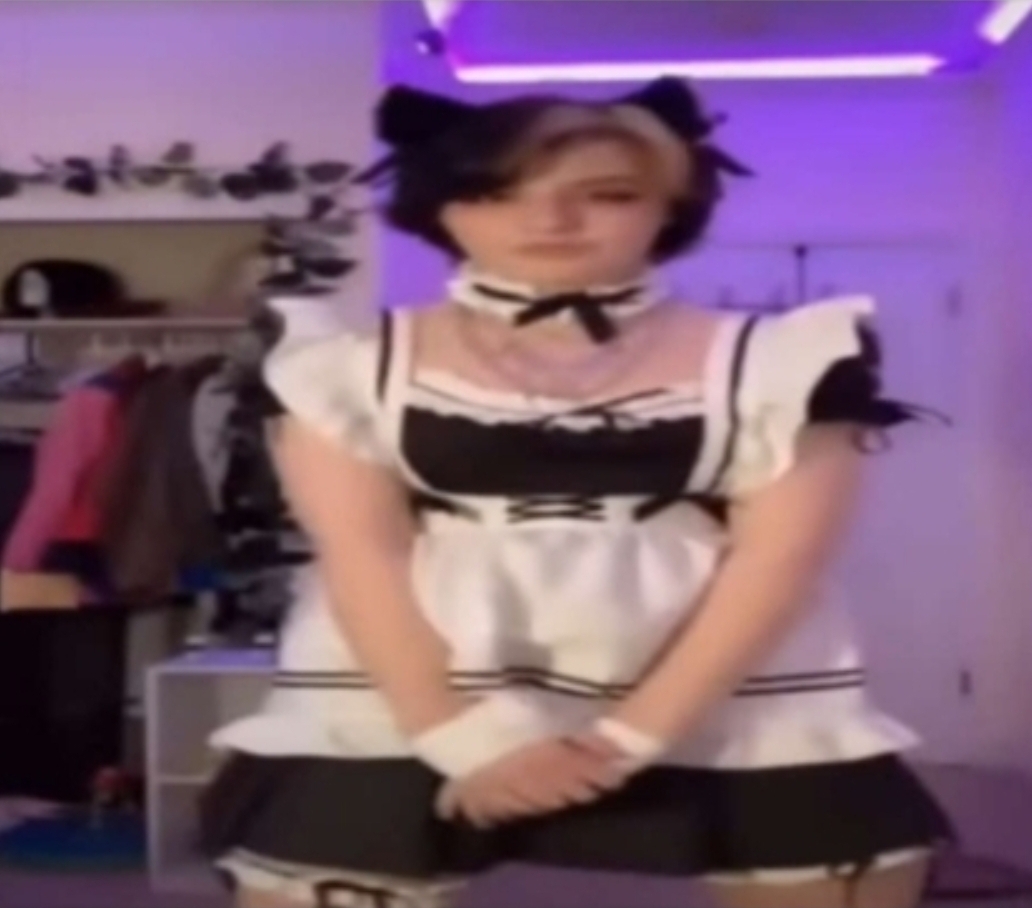 High Quality Furry Girl in maid outfit Blank Meme Template
