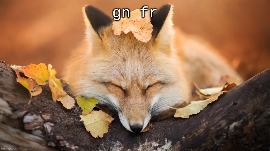 Goodnight | gn fr | image tagged in goodnight | made w/ Imgflip meme maker