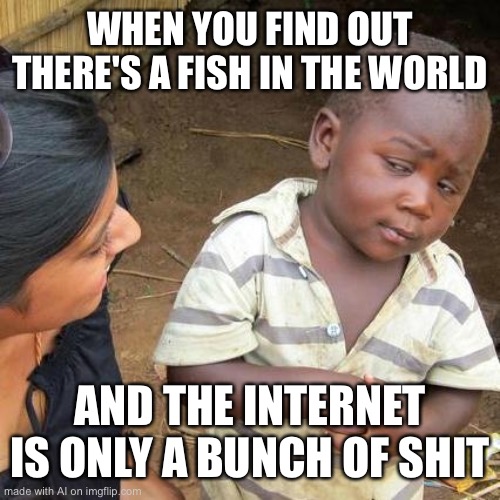 Third World Skeptical Kid | WHEN YOU FIND OUT THERE'S A FISH IN THE WORLD; AND THE INTERNET IS ONLY A BUNCH OF SHIT | image tagged in memes,third world skeptical kid | made w/ Imgflip meme maker