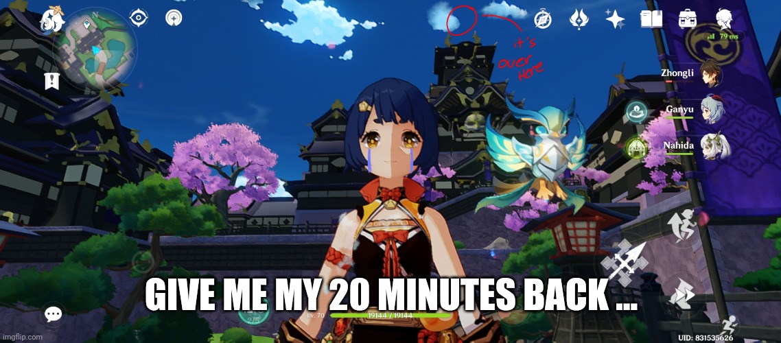 Electroculi hunt | GIVE ME MY 20 MINUTES BACK ... | image tagged in genshin impact | made w/ Imgflip meme maker