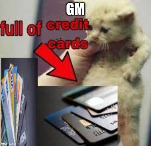 cat full of credit cards | GM | image tagged in cat full of credit cards | made w/ Imgflip meme maker