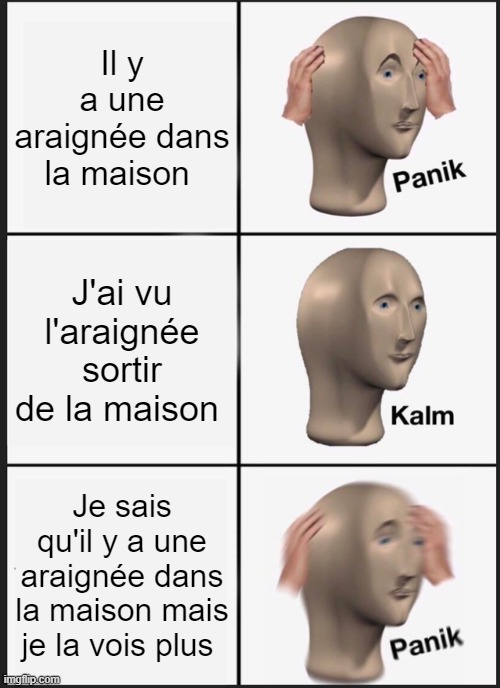 Panik Kalm Panik | Il y a une araignée dans la maison; J'ai vu l'araignée sortir de la maison; Je sais qu'il y a une araignée dans la maison mais je la vois plus | image tagged in memes,panik kalm panik | made w/ Imgflip meme maker