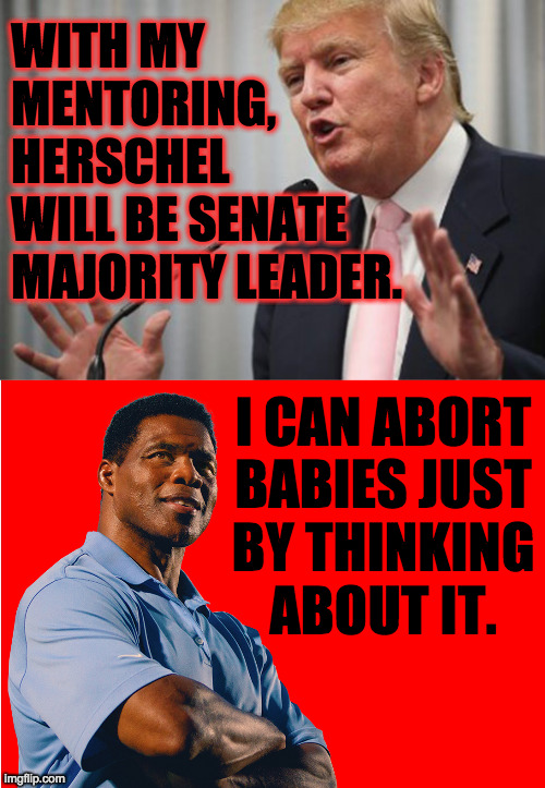Grow your mad skillz. | WITH MY
MENTORING,
HERSCHEL
WILL BE SENATE
MAJORITY LEADER. I CAN ABORT
BABIES JUST
BY THINKING
ABOUT IT. | image tagged in trump huge,memes,herschel walker,mad skillz | made w/ Imgflip meme maker