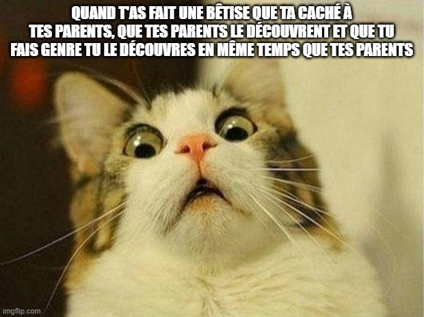 Scared Cat | QUAND T'AS FAIT UNE BÊTISE QUE TA CACHÉ À TES PARENTS, QUE TES PARENTS LE DÉCOUVRENT ET QUE TU FAIS GENRE TU LE DÉCOUVRES EN MÊME TEMPS QUE TES PARENTS | image tagged in memes,scared cat | made w/ Imgflip meme maker