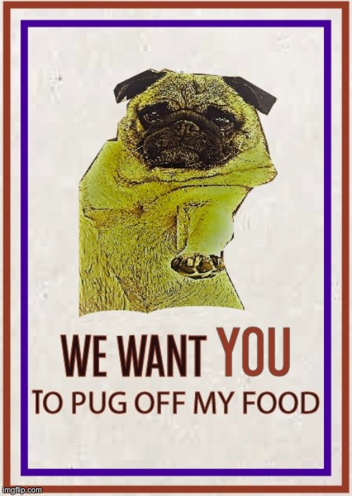 We want YOU | image tagged in uncle sam,pugs | made w/ Imgflip meme maker
