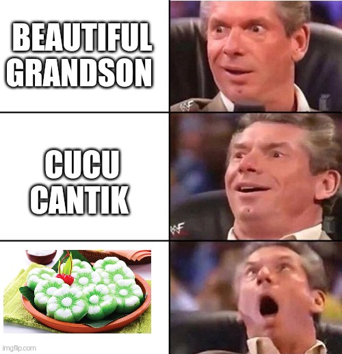 Meme | BEAUTIFUL GRANDSON; CUCU CANTIK | image tagged in vince mcmahon | made w/ Imgflip meme maker