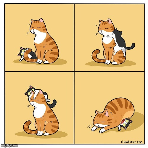 A Cat's Way Of Thinking | image tagged in memes,comics,cats,kitten,playing,no more | made w/ Imgflip meme maker