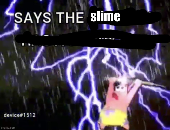 Says the guy who has a furry pfp | slime | image tagged in says the guy who has a furry pfp | made w/ Imgflip meme maker